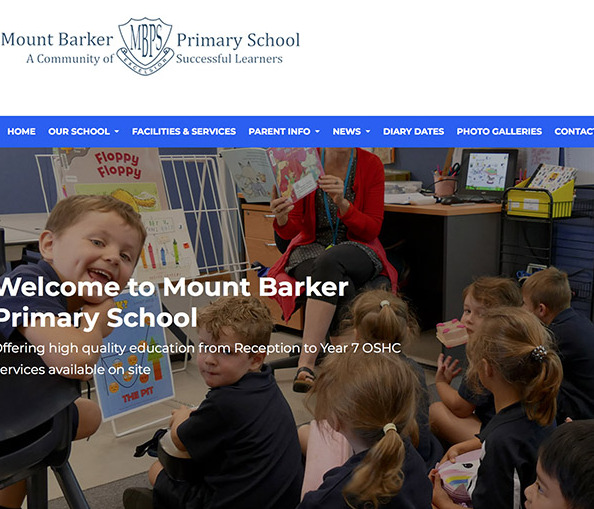 T1 - WK8 - New Website